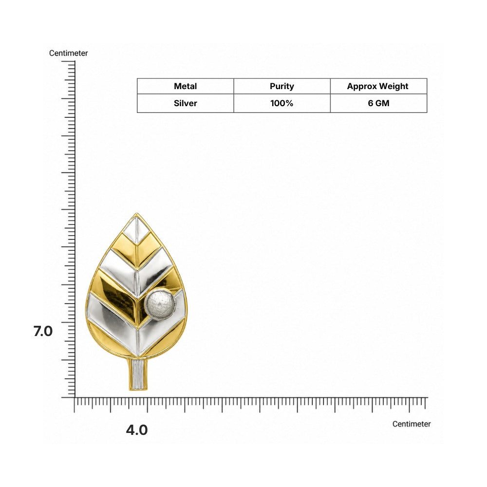 Silver Pan Supari dimensions and weight chart